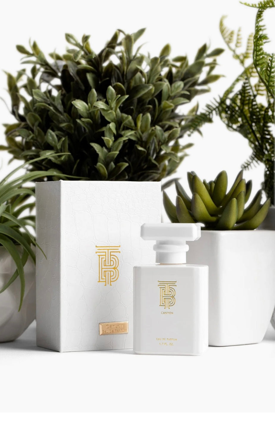Thomas Blonde: Eau De Parfum: Blonde
