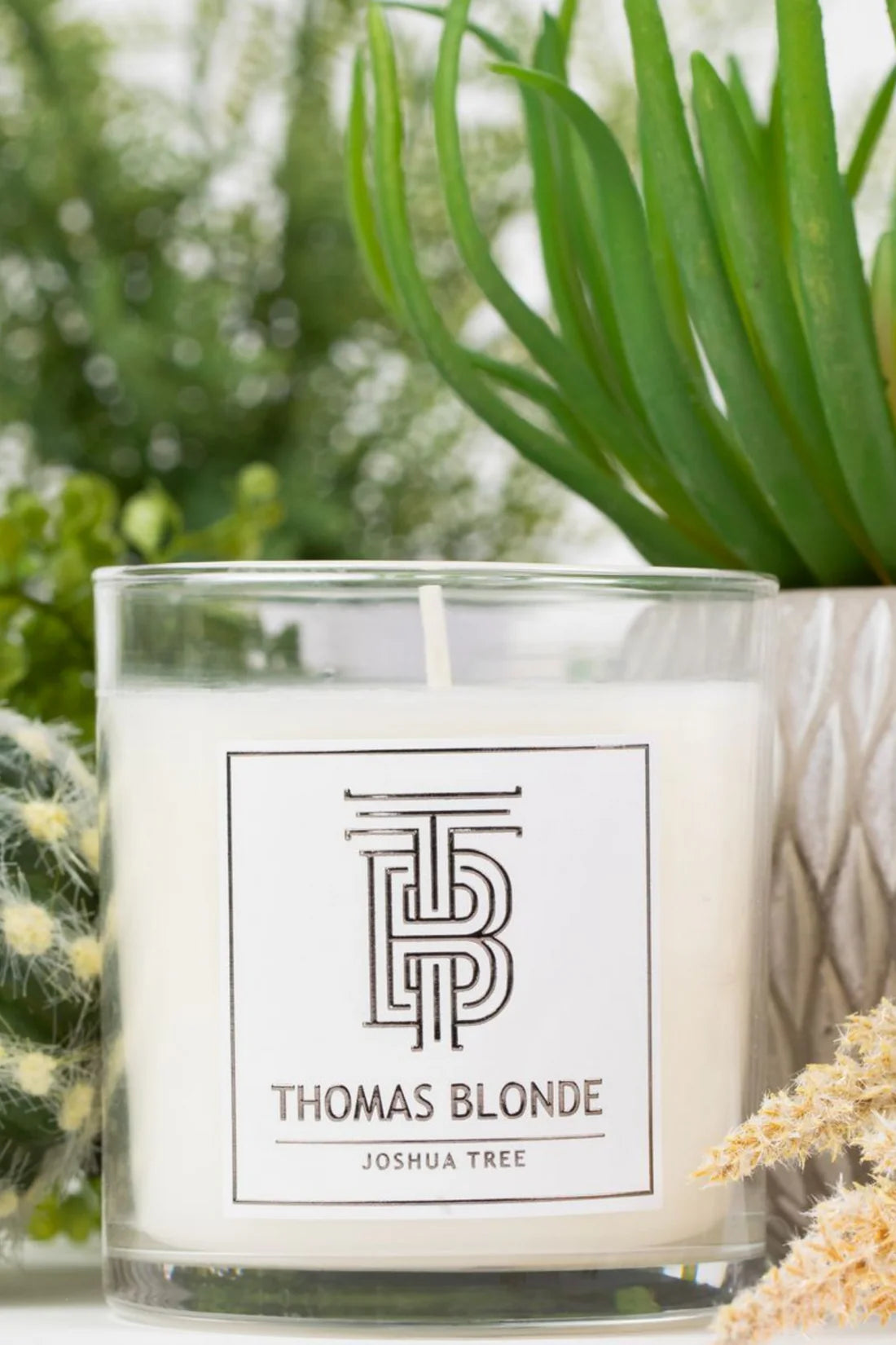 Thomas Blonde Signature Candle - Joshua Tree Scent